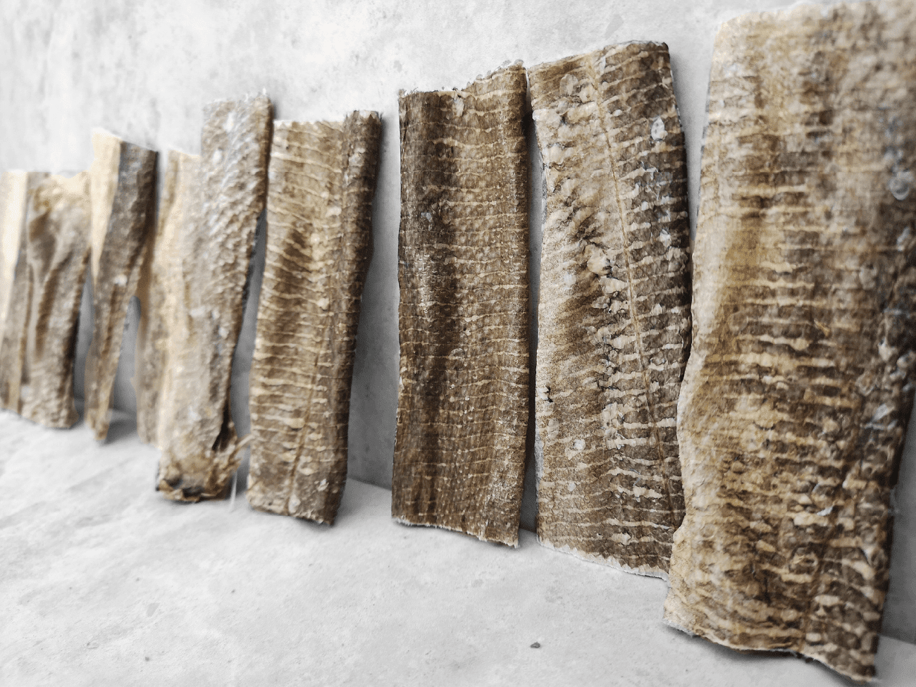 Whitefish skin Jerky Value Pack, large fish skin chews - Goodchaps natural, healthy, plastic free and eco friendly dog treats & toys